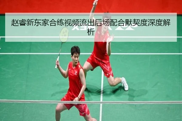 赵睿新东家合练视频流出后场配合默契度深度解析